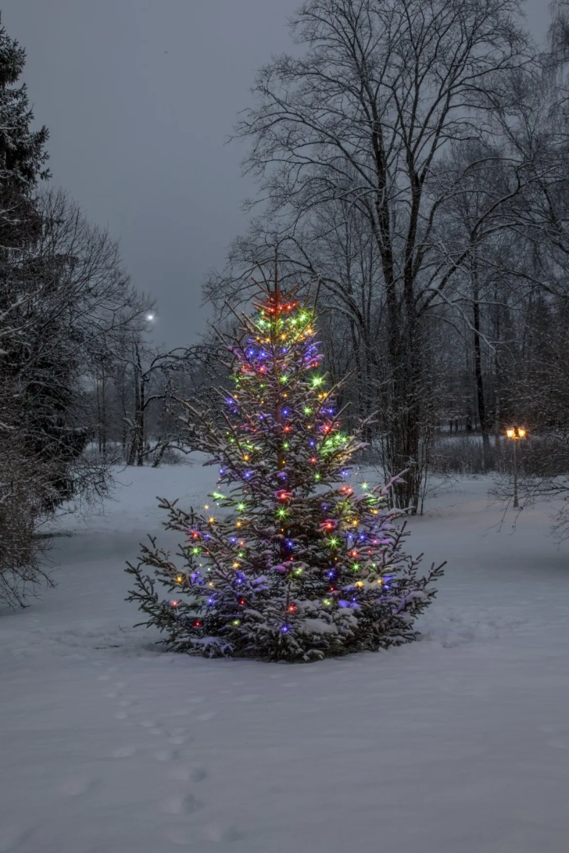 DEW DROP Julgransslinga 2m 160LED Flerfärgad/Grön IP44