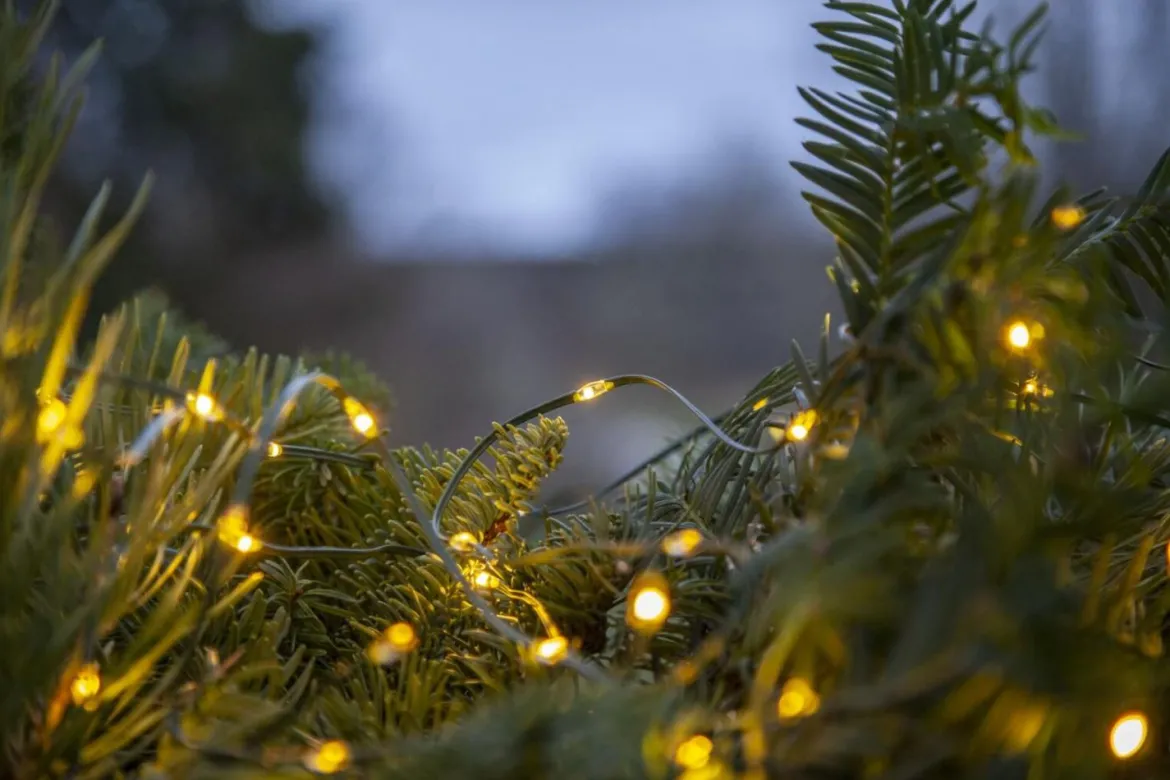 DEW DROP MICRO Ljusslinga Batteri 7,2m 96LED Varmvit/Grön