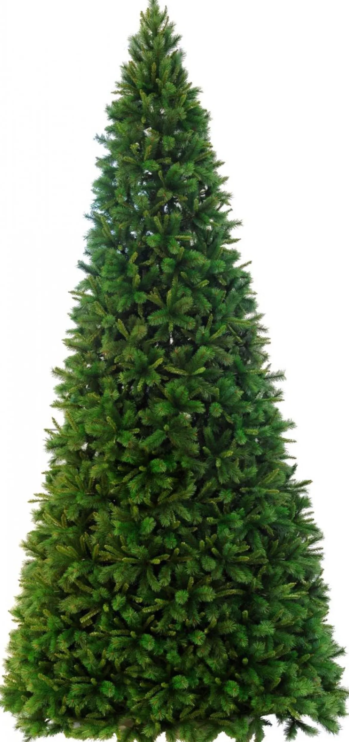 Julgran Colorado 5 meter Grön