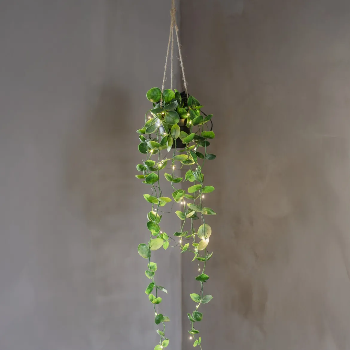 LAOS Konstväxt 60cm Grön