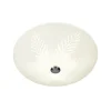 PALMBLAD Plafond 50cm Vit