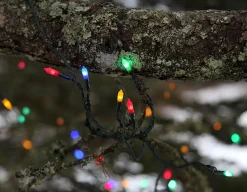 P-LED Ljusslinga Utomhus 16m 80LED IP44 Flerfärgad Grön